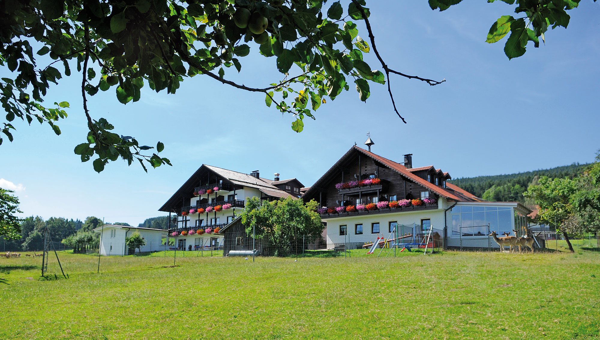 Landhotel Bayerischer Wald